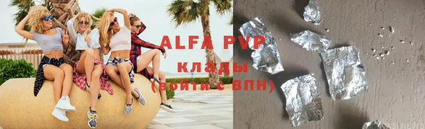 стафф Михайлов
