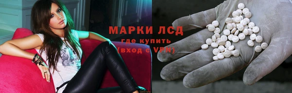 стафф Михайлов