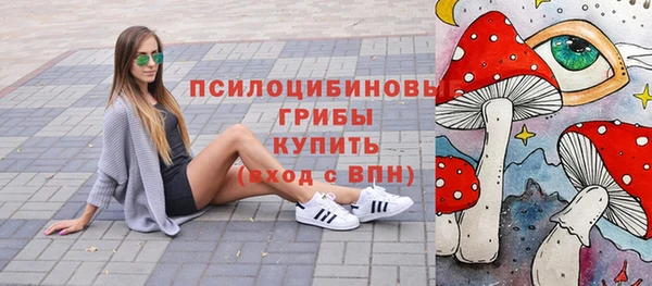 стафф Михайлов